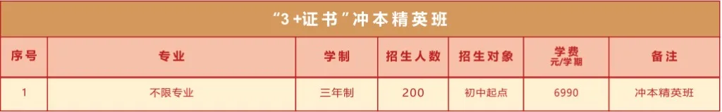 “3+证书”冲本精英班