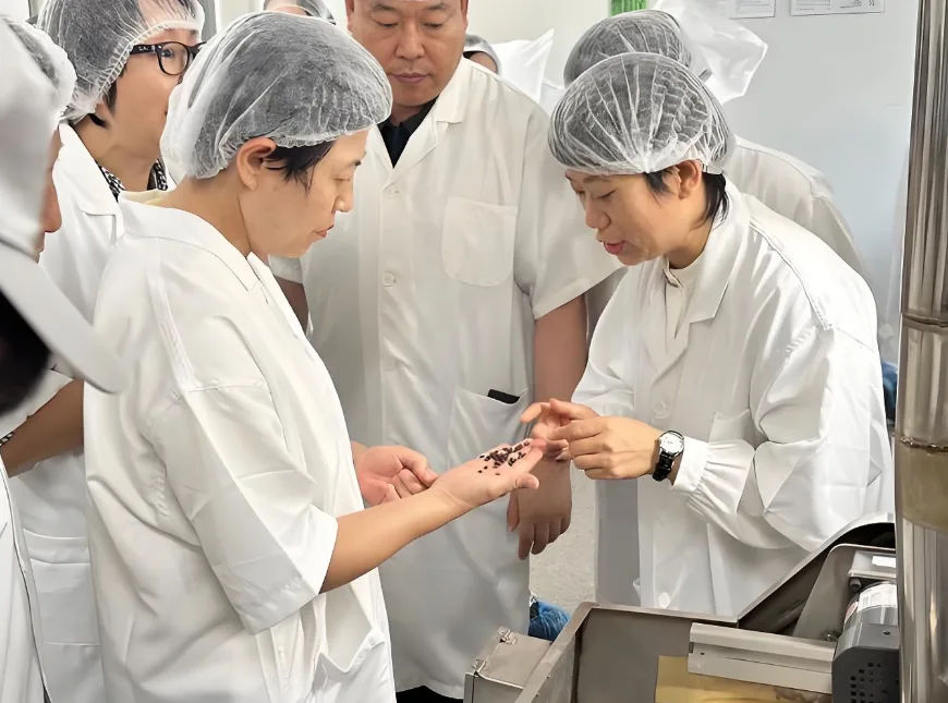 药物制剂 image