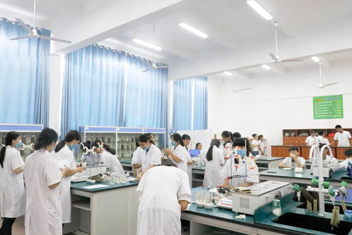 药物制剂 image